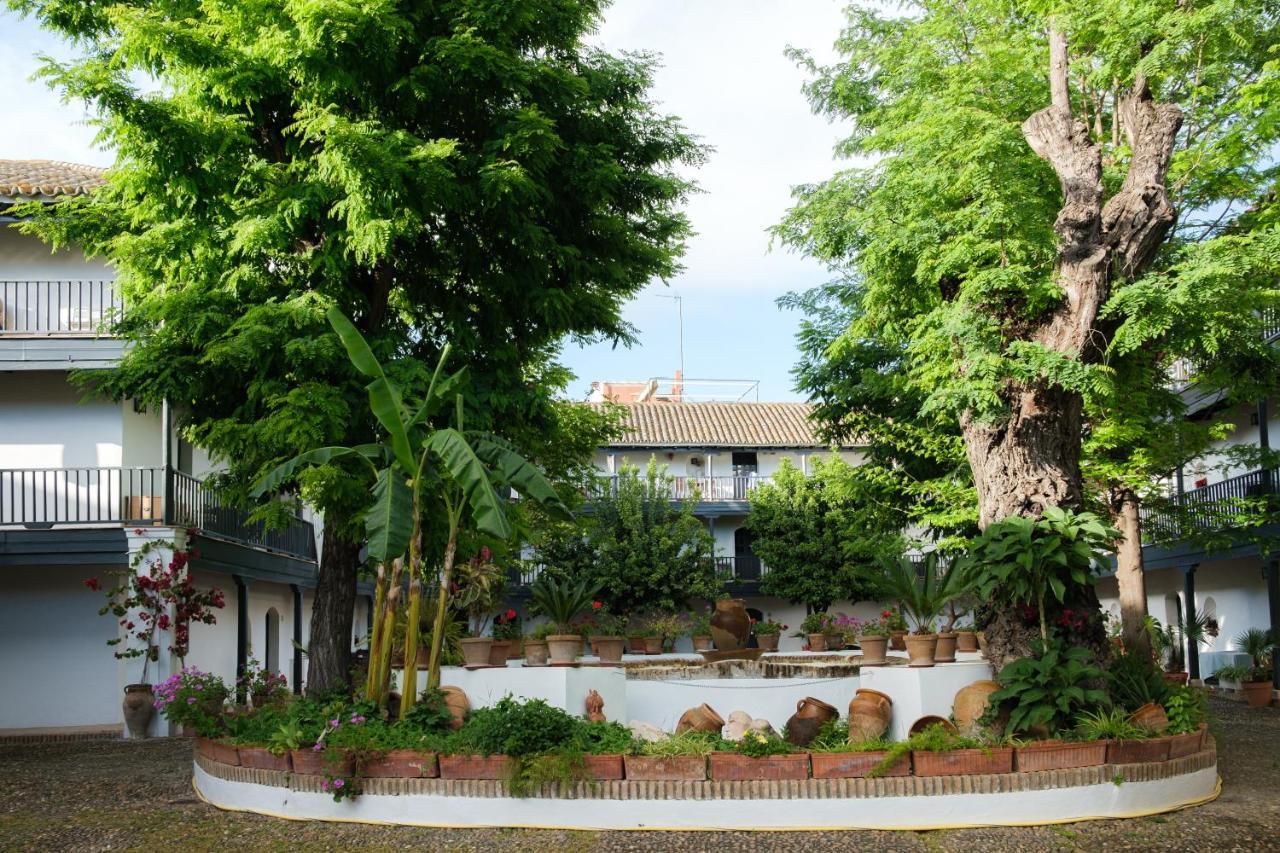 Vista Corral Del Conde Apartment Sevilla Bagian luar foto
