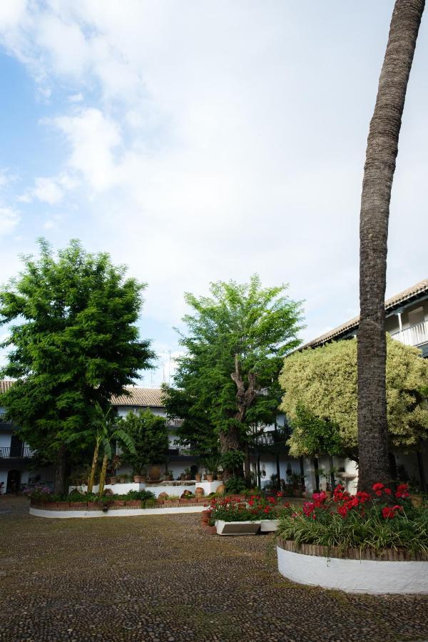 Vista Corral Del Conde Apartment Sevilla Bagian luar foto