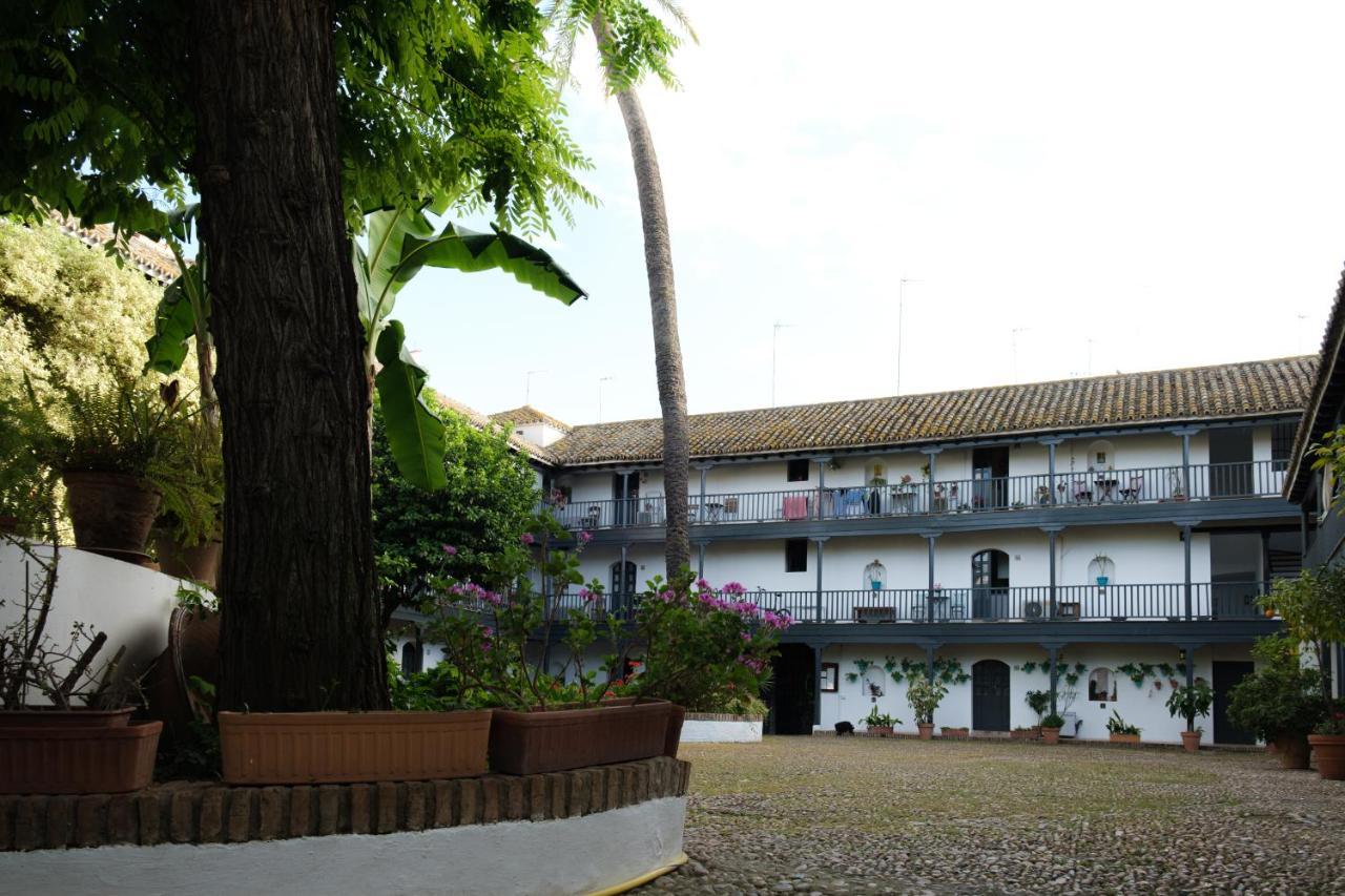 Vista Corral Del Conde Apartment Sevilla Bagian luar foto
